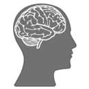 Forex Trading Psychologie